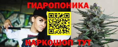 СК Краснознаменск