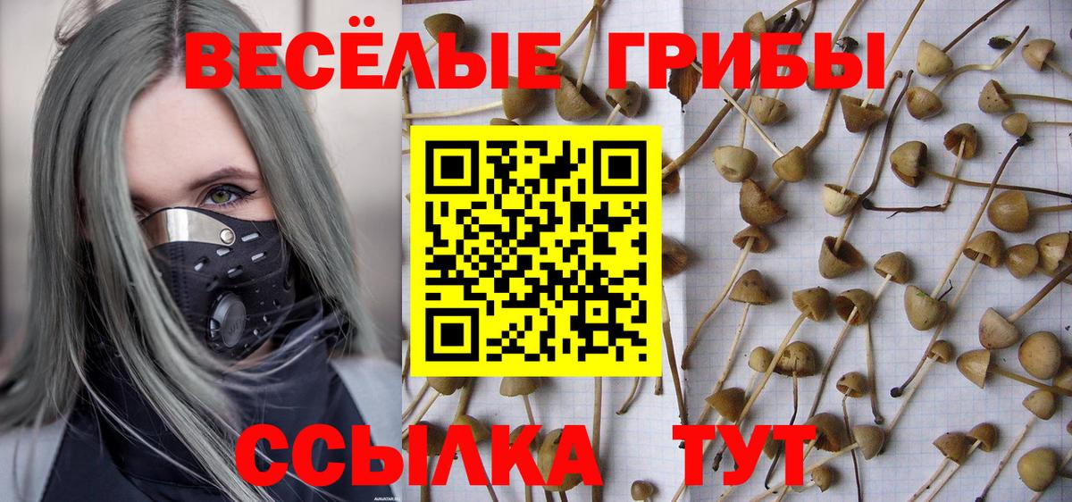 Кимовск  Псилоцибиновые грибы ЛСД  купить   Вход с VPN 